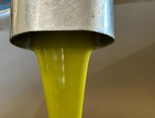AOVE temprano: Polifenoles + vitamina E