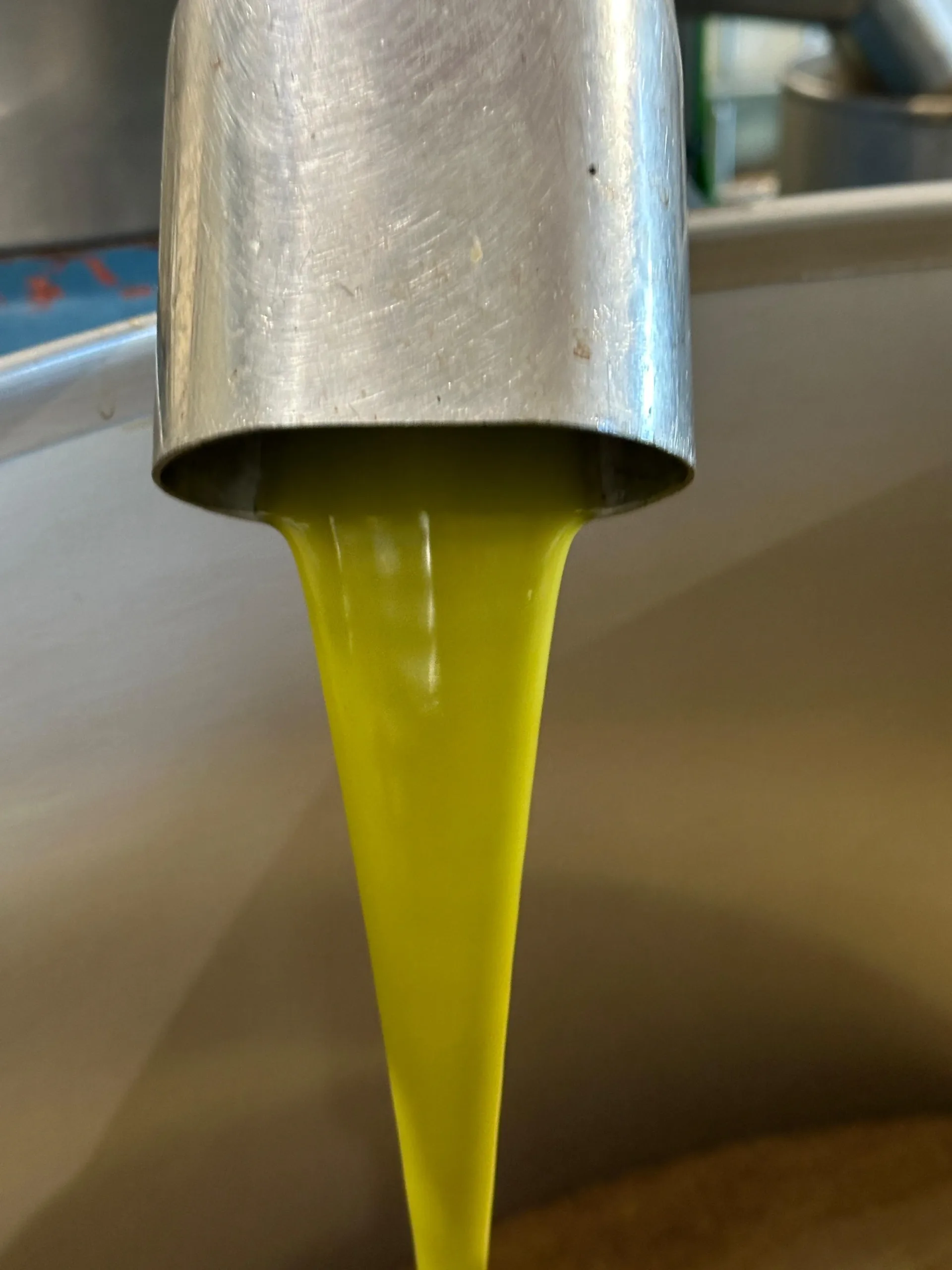 aove, aceite de oliva virgen extra, aceite de oliva virgen extra fuenroble, aove de jaén, aceite de oliva virgen extra de orcera, aceite de oliva virgen extra de sierra de segura, aove de sierra de segura, extra virgin olive oil, EVOO, aceite de oliva virgen extra con denominación, aceite de oliva comprar, aceite de oliva gourmet, aceite de oliva regalo, comprar aceite de oliva, aove temprano