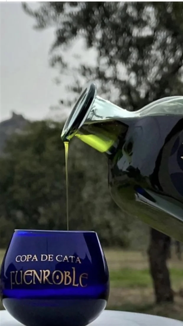 Oleoturismo en Sierra de Segura: visita almazara Potosi 10, oleoturismo, oleoturismo sierra de segura, visitar almazara, cata de aove, conocer sierra de segura, orcera, aceite de sierra segura, visitar parque natural segura